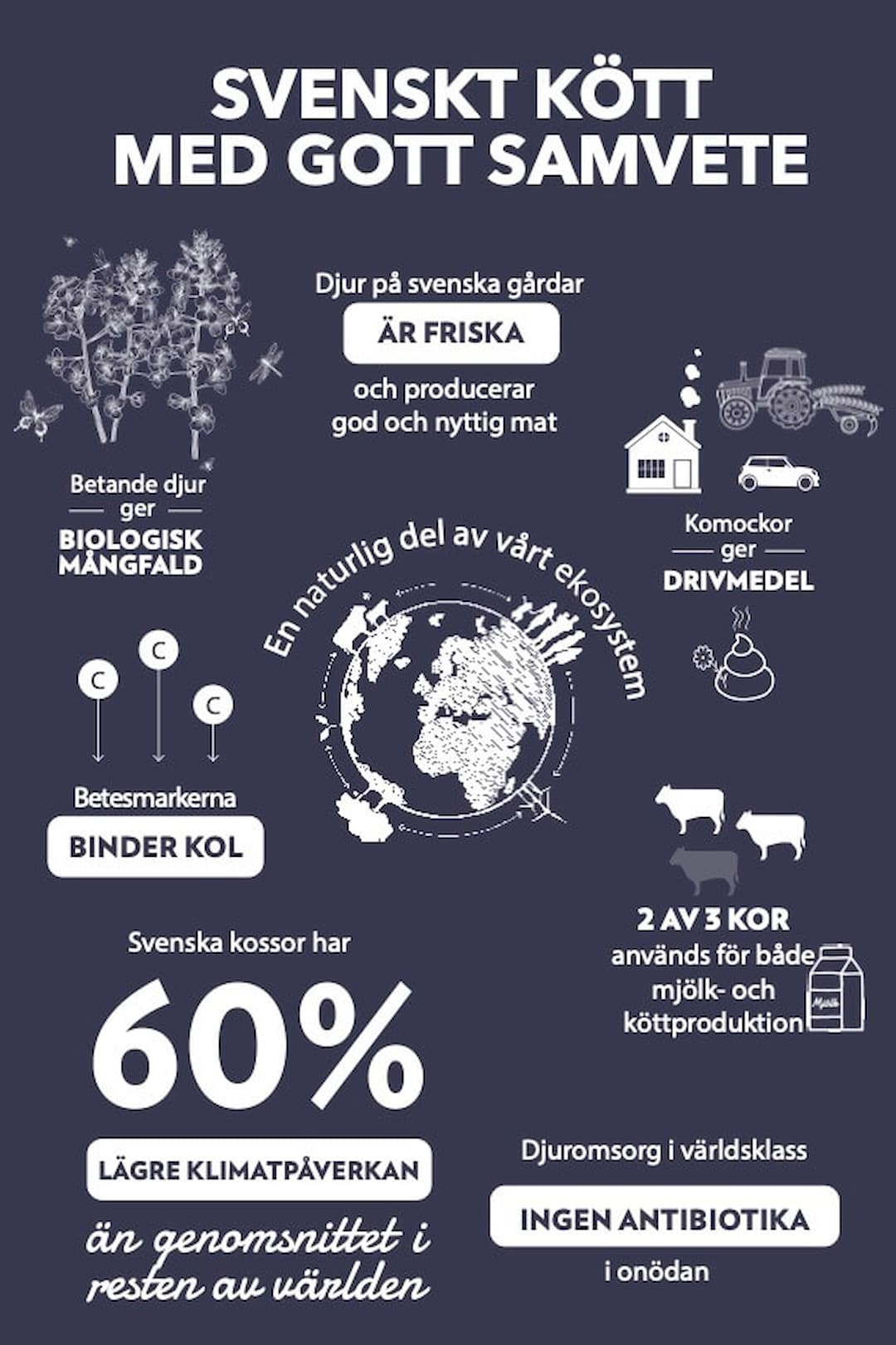 infografik egen version stående 2021