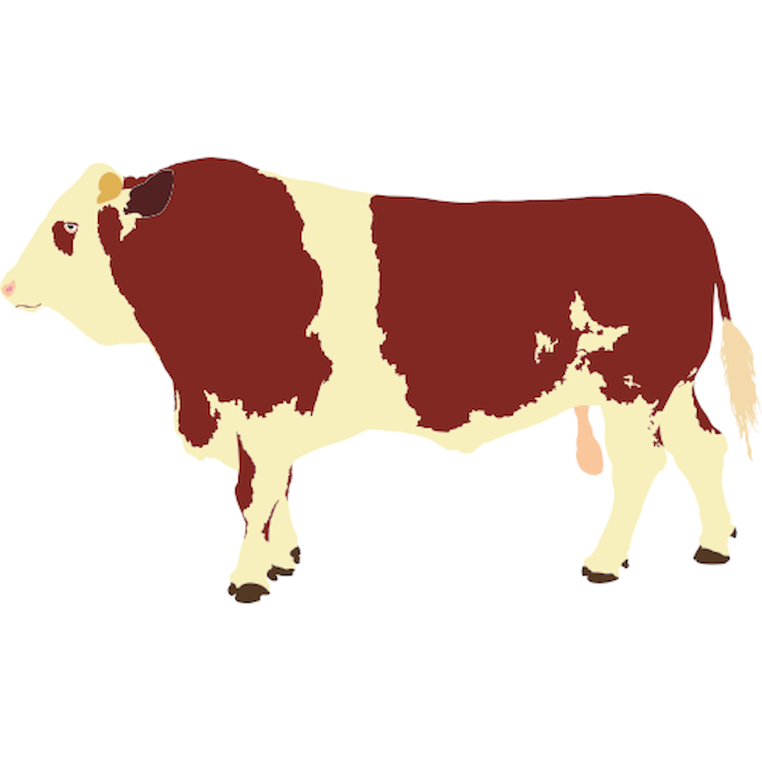 SIMMENTALER